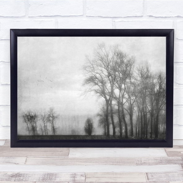 Landscape Belgium Damme Baw Landscape Winter Trees Fog Mood The Sweet Print