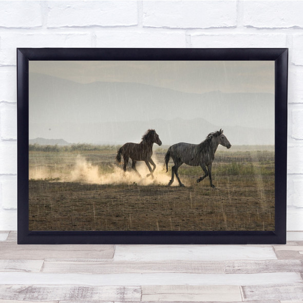 Animal Animals Horse Horses Rain Rainy Raining Weather Rural Wall Art Print