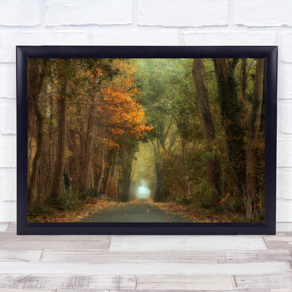 Autumn Road Netherlands Fall Landscape Leaves Season Seasons Wall Art Print