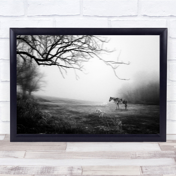 Black & White Two Horses Field Trees Shadow Foggy Mud Winter Wall Art Print