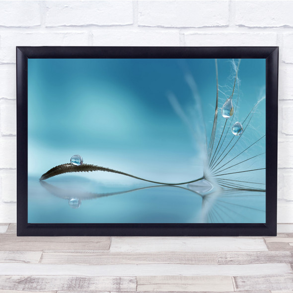Blue Teal Gentle Feather Drop Drops Water Droplet Seed Downy Wall Art Print