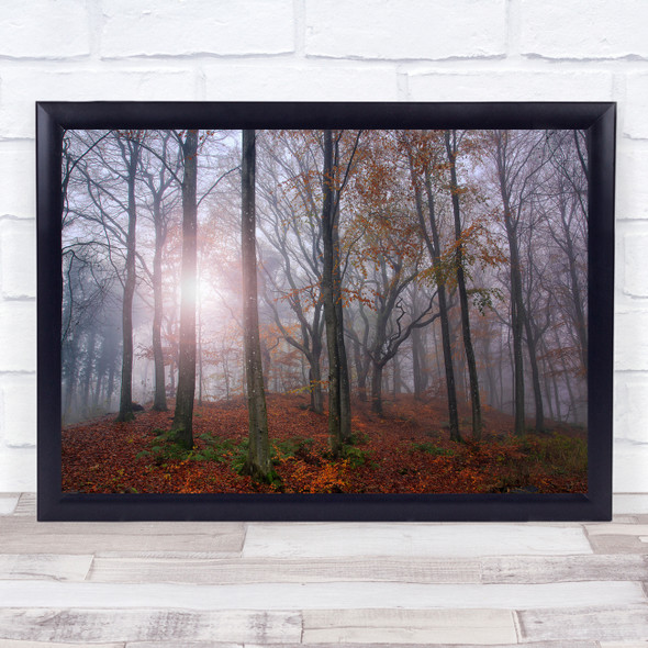 Denmark Jutland Skive Forest Sun Light Red Autumn Fall Trees Wall Art Print