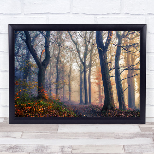 Denmark Jutland Skive Forest Wood Path Fall Autumn Light Way Wall Art Print