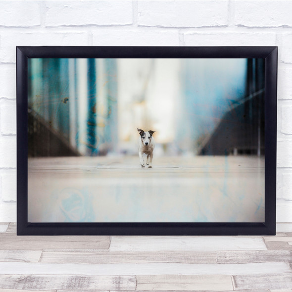 Dogs Dog Creative Urbanity City Hamburg Fine art Portraiture Wall Art Print