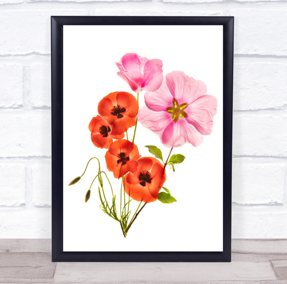 Flower Poppies Red Pink High Key High-Key Graphic Still Life Wall Art Print