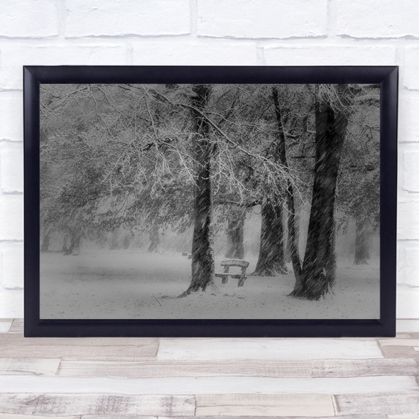 Mastbos Snowfall Trees Forest Netherlands Bench Park Weather Wall Art Print