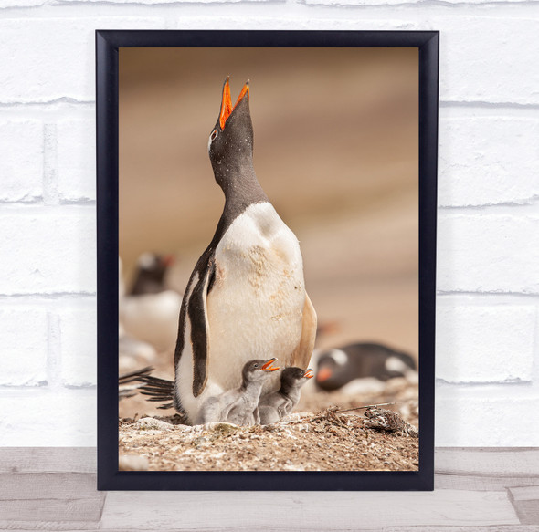 Penguin Penguins Duckling Ducklings Cute Young Newborn Bokeh Wall Art Print