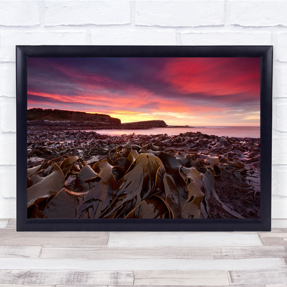 Rocks Sky Sunrise Curio Bay Sea Weed New Zealand Ocean Shore Wall Art Print