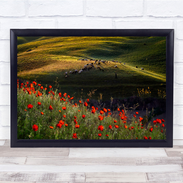 Spring Kazakh Prairies Sheep Poppy Grassland Morning Sunrise Wall Art Print