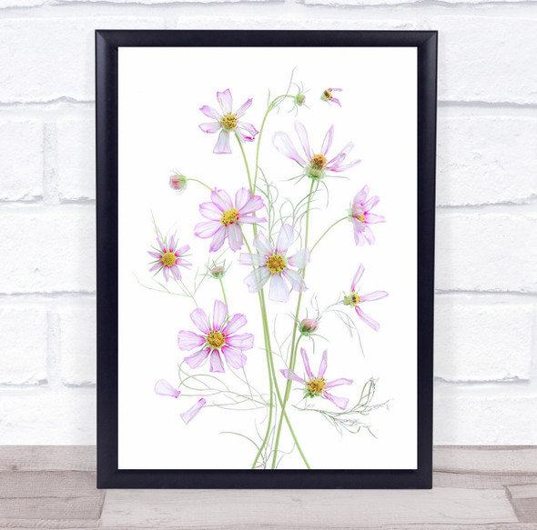 Still Life Flower Flowers Flora Floral Botanical Summer Pink Wall Art Print