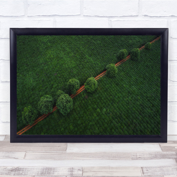 Aerial Green Trees Road Way Diagonal Perspective Above Landscape Wall Art Print