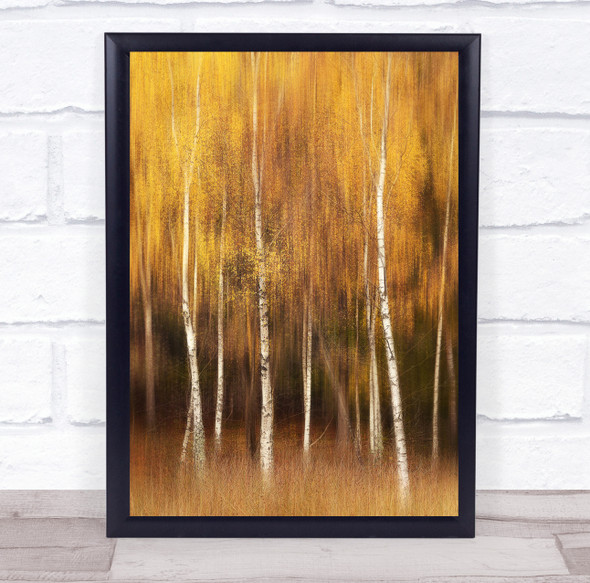 Autumn Colour Tree Trees Forest Trunks Yellow Branch Leaf Leaves Wall Art Print