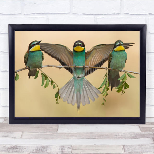 Bee-Eater Wings Bee-Eaters Bird Birds Bokeh Branch Twig Wildlife Wall Art Print