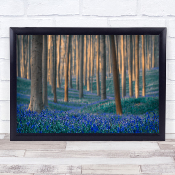 Bluebells Bluebell Blue Forest Trees Tree Meadow Landscape Woods Wall Art Print