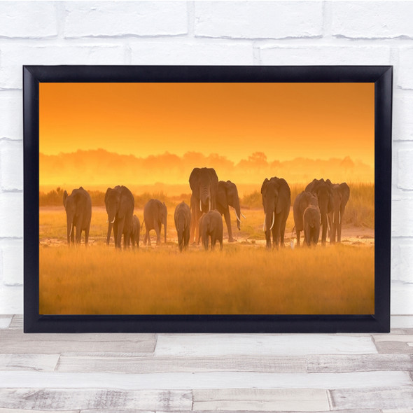 Elephants Herd Golden Light Sunset Amboseli Kenya Africa Svannah Wall Art Print