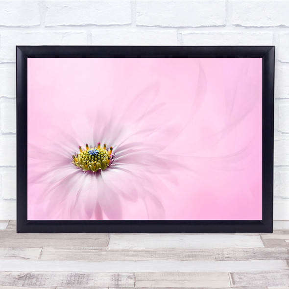 Flower Flora Bloom Pink Pastel Flowers Petal Petals Flow Flowing Wall Art Print