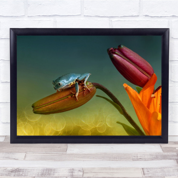 Frog Frogs Flower Flowers Flora Floral Animal Animals Macro Cute Wall Art Print