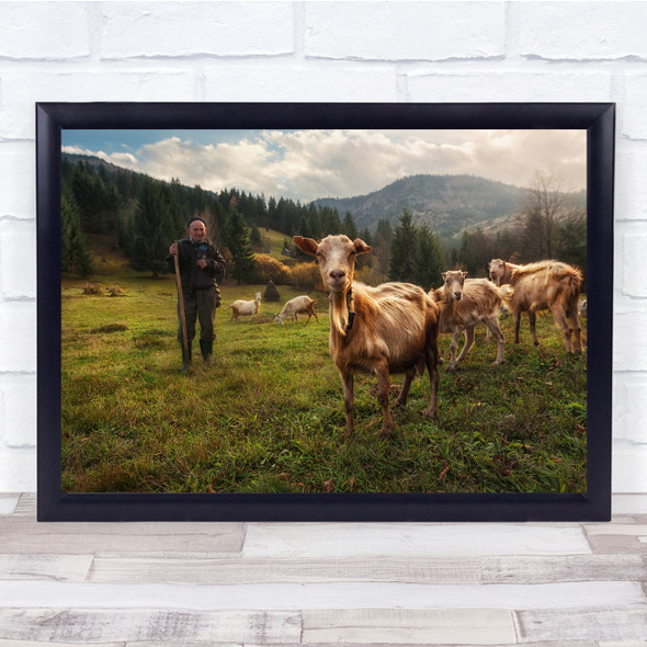 landscape Maramures Balcan Mountain Transylvania Carpathian Goat Wall Art Print