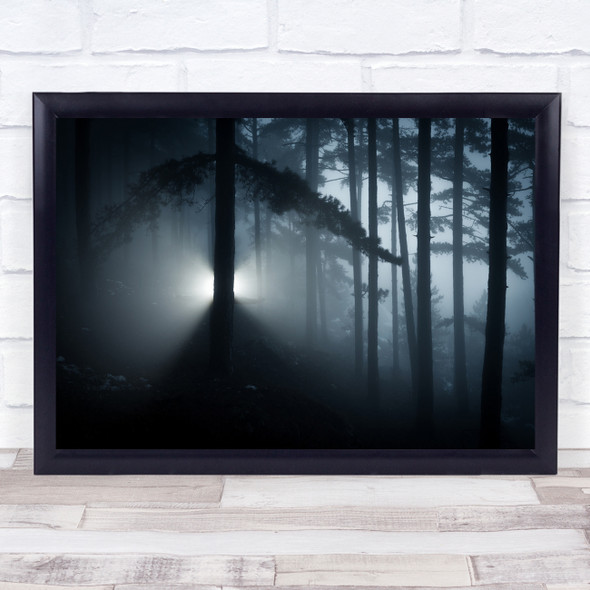 Light Forest Landscape Fog Mist Haze Mystery Mysterious Thriller Wall Art Print