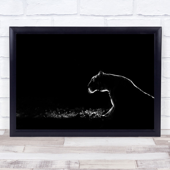 Lion Dark Low Key Low-Key Outline Simple Minimalism Minimalistic Wall Art Print