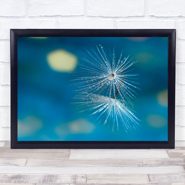 Macro Flower Drop Water Mirror Reflection Alicante Spain Feather Wall Art Print