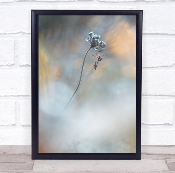 Macro Mantis Praying Soft Bokeh Flower Summer Garden Blur Blurry Wall Art Print