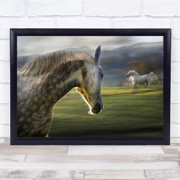 Nature Animal Horse Horses Creative Running Blur Blurry Artistic Wall Art Print