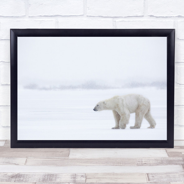 Polar Bear Wildlife Wild Nature Animal Snow Snowing Snowy Winter Wall Art Print