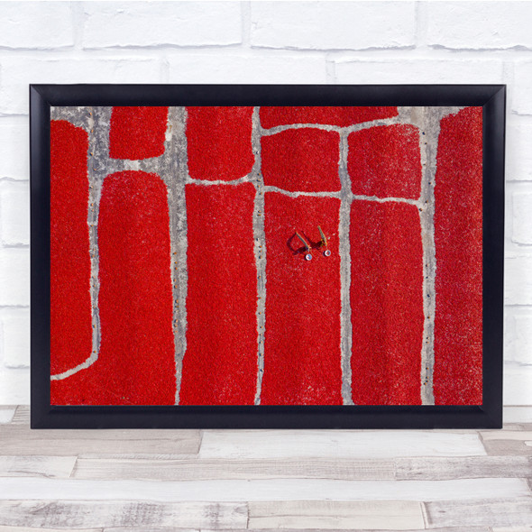 Red Documentary Chili Food Work Working Worker Rows Lines Pepper Wall Art Print