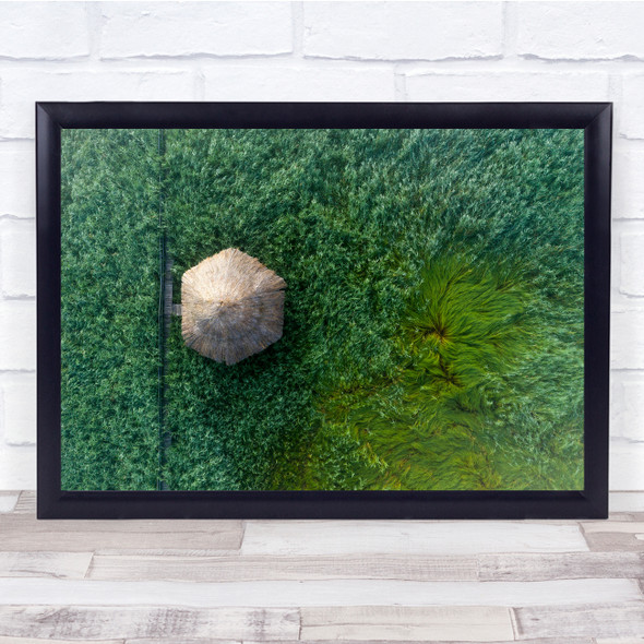 Reed Reserve Landscape Nature Abstract Pattern Drone Aerial View Wall Art Print