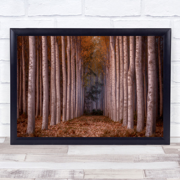 Rows Columns Trees Pattern Landscape Forest Abstract Fall Autumn Wall Art Print