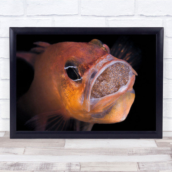 Underwater Fish Eyes Deep Bottom Sea Ocean Red Orange Mouth Prey Wall Art Print