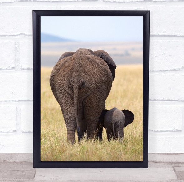 Wildlife Wild Nature Animals Elephant Elephants Tender Love Care Wall Art Print