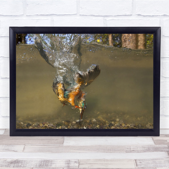 Wildlife Wild Animal Animals Nature Bird Birds Underwater Print - PETTEX768117