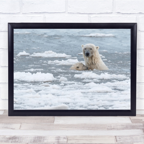 Bear Arctic Alaska Wildlife Animal Cub Water Mother Polar Bears Wall Art Print