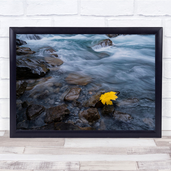 Fall Autumn Water Creek Rocks Leaf Yellow Landscape Leaves Flow Wall Art Print