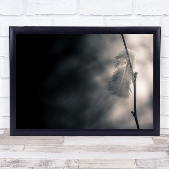 Feather Left Alone Lonely Mood Feathers Branch Twig Sepia Toned Wall Art Print