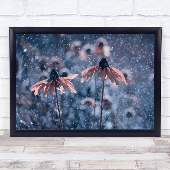 Flower Flora Floral Snow Winter Delicate Bokeh Snowing Snowfall Wall Art Print