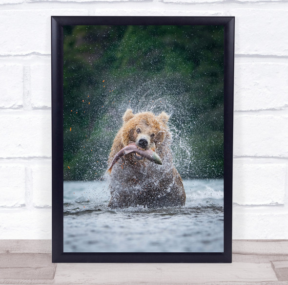 Kamchatka Russia Animal Bear Forest Danger Dangerous Face Trees Wall Art Print