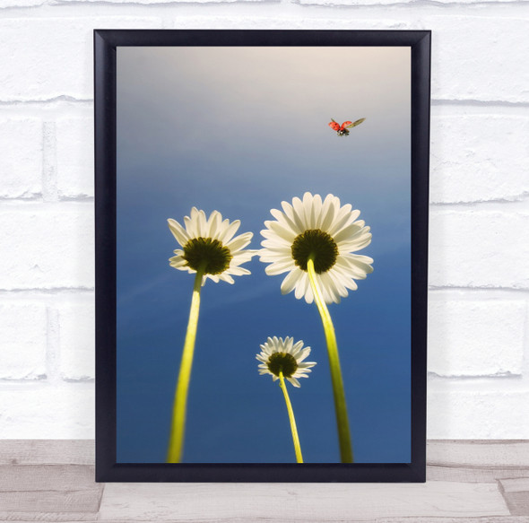 Ladybug Ladybird Flower Flowers Macro Flight Fly Flying Landing Wall Art Print