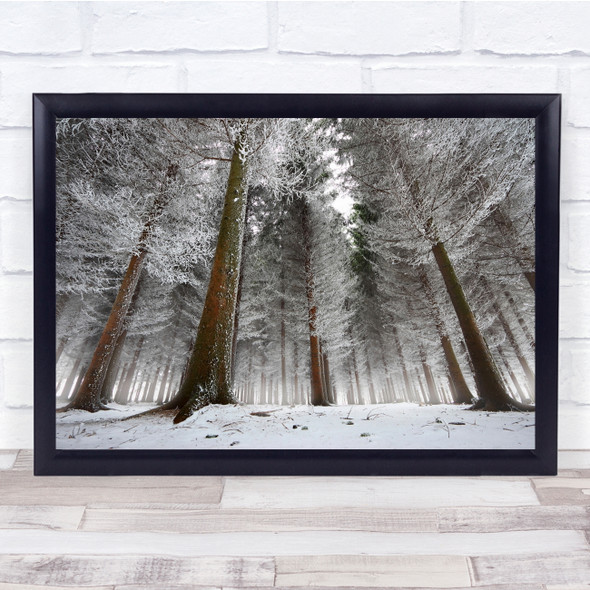 Landscape Snow Winter Tree Frozen Chill Chilly Snowy Cold Frost Wall Art Print