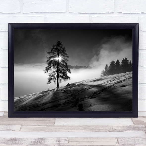 Larch Winter Snow Mountains Slope Mountain Tree Trees Sun Light Wall Art Print