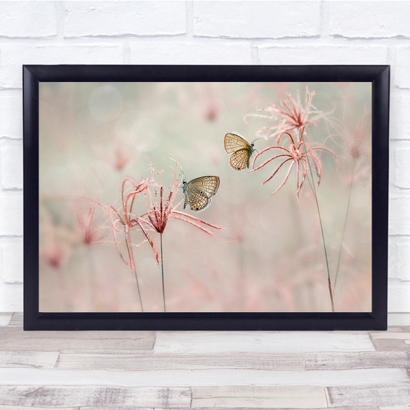 Pastel Colour Colors Pink Flower Flowers Flora Floral Butterfly Wall Art Print