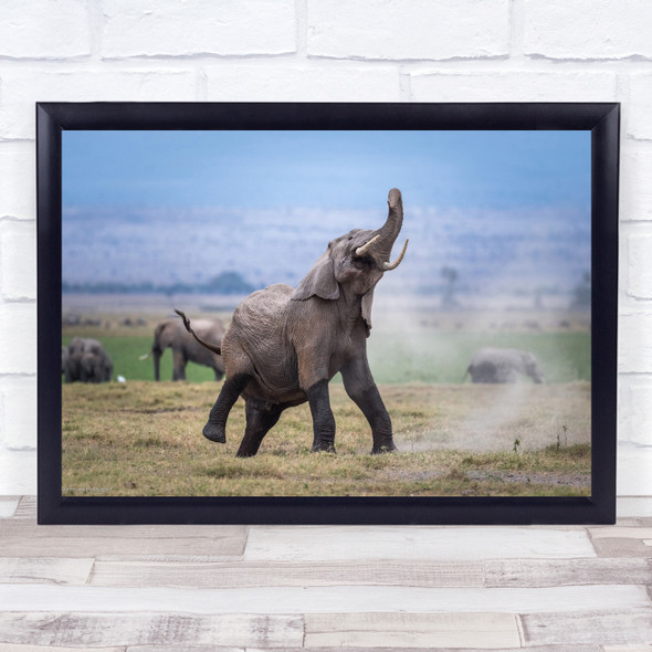 Wildlife Wild Nature Animal Animals Elephant Elephants Amboseli Wall Art Print