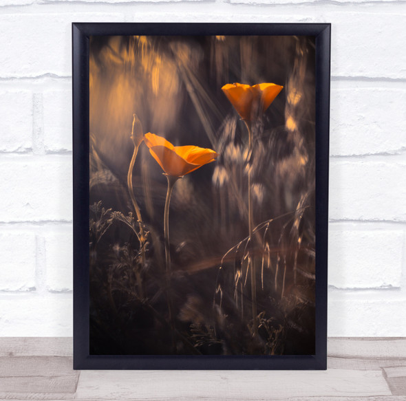 Yellow Orange Macro Bokeh Flower Flowers Couple Pair Duo Garden Wall Art Print