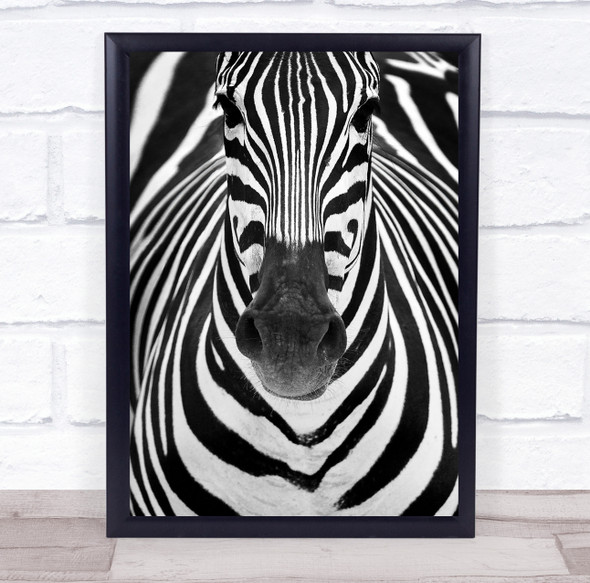 Zebra Stripes Animals Nature Zebras Africa Animal Wildlife Wild Wall Art Print