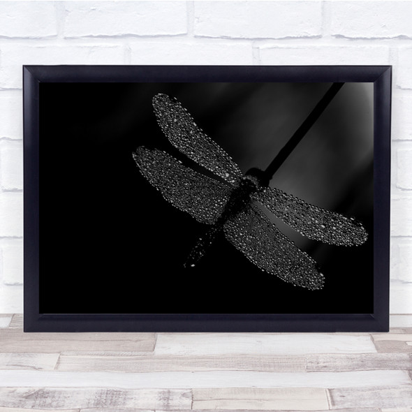 Dragonfly Black & White Dew Drops Wet Water Droplets Macro Dark Low Key Print