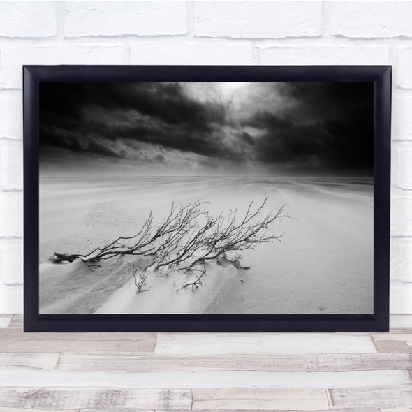 Landscape Beach Sand Black & White Coast Coastal Shore Empty Twig Twigs Print