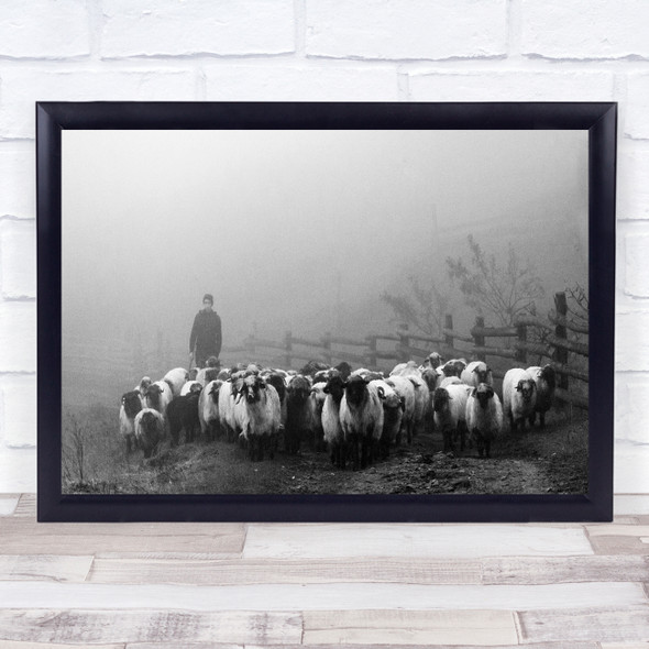 Sheep Farmer Farming Cattle Black & White Fog Mood Fence Animals Person Print