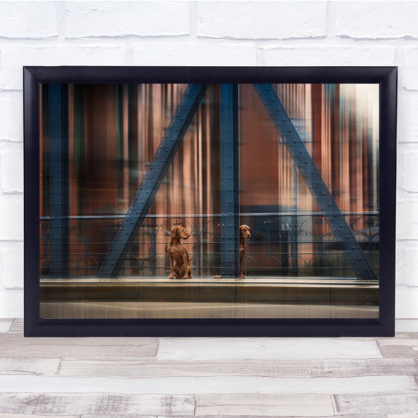 Dogs Hamburg Animals Orange Bridge Moody Dog Citydogs Urbandog Wall Art Print